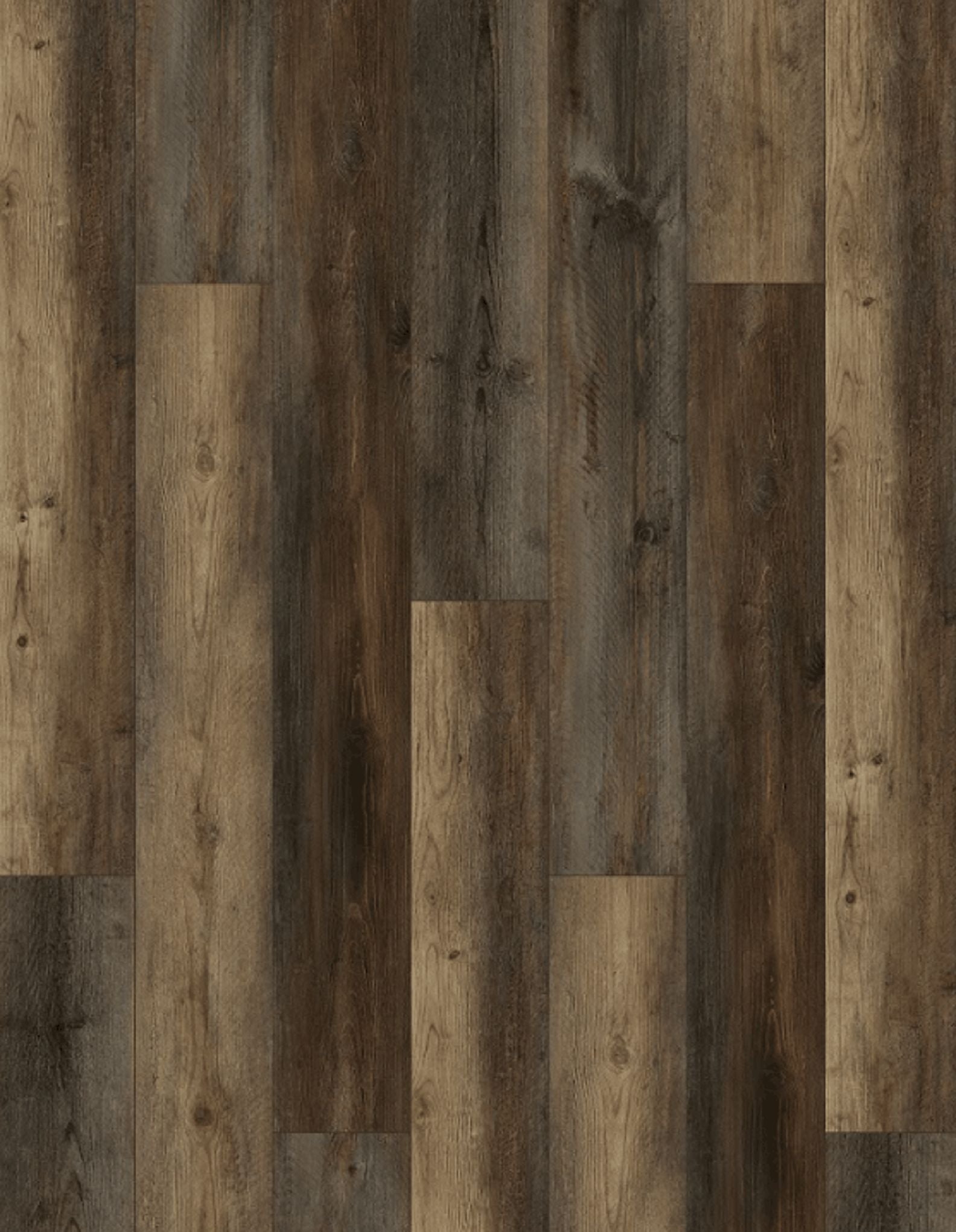 Dark Wood